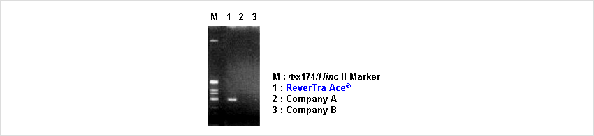Elongation capability of a long cDNA